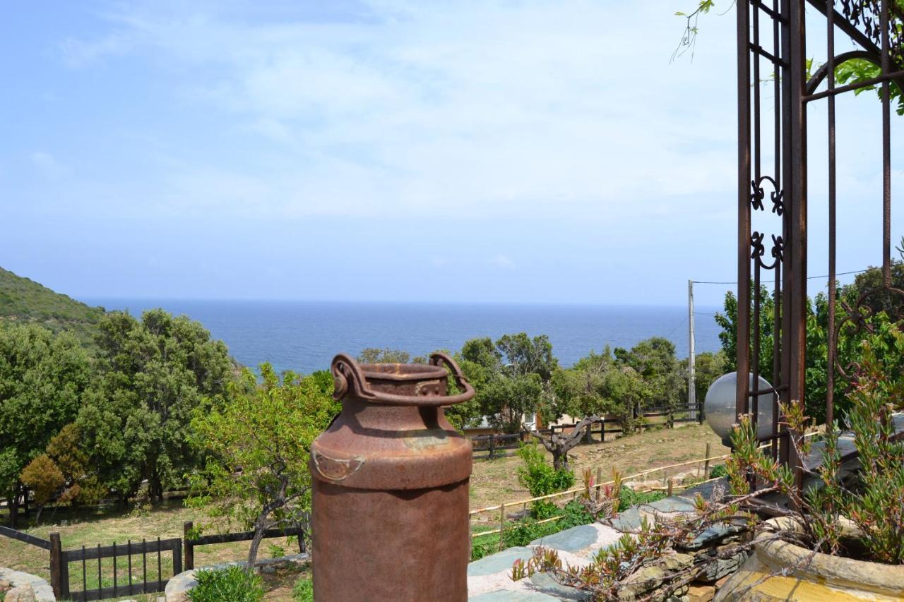 Casa Di Babbo Bed & Breakfast Macinaggio  Ngoại thất bức ảnh